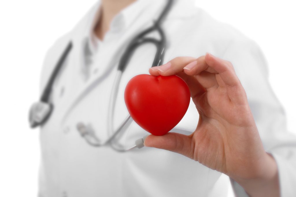 Female doctor with the stethoscope holding heart.Isolated on whiteFemale doctor with the stethoscope holding heart.Isolated on white